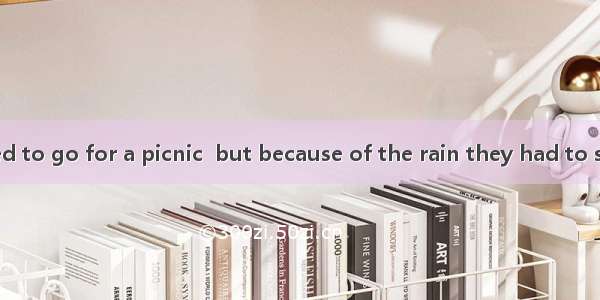 They had planned to go for a picnic  but because of the rain they had to stay home.A. inst