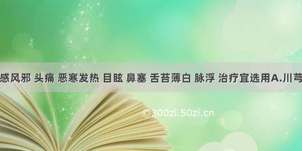 病人外感风邪 头痛 恶寒发热 目眩 鼻塞 舌苔薄白 脉浮 治疗宜选用A.川芎B.丹参