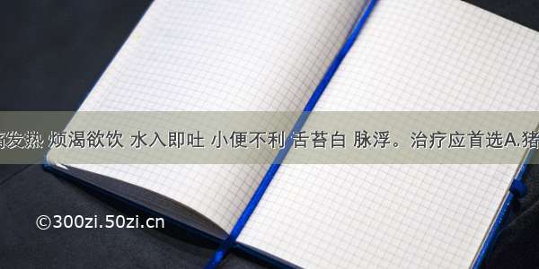 病人头痛发热 烦渴欲饮 水入即吐 小便不利 舌苔白 脉浮。治疗应首选A.猪苓汤B.五