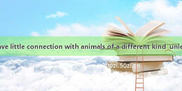 Most animals have little connection with animals of a different kind  unless they hunt the