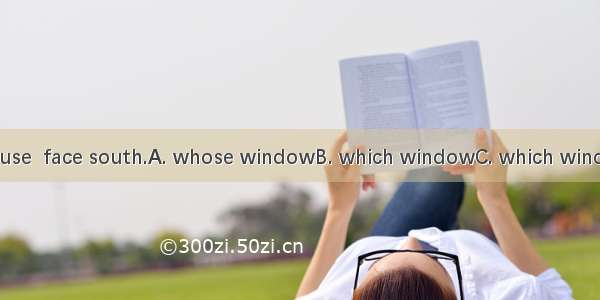They live in a house  face south.A. whose windowB. which windowC. which windowsD. whose wi