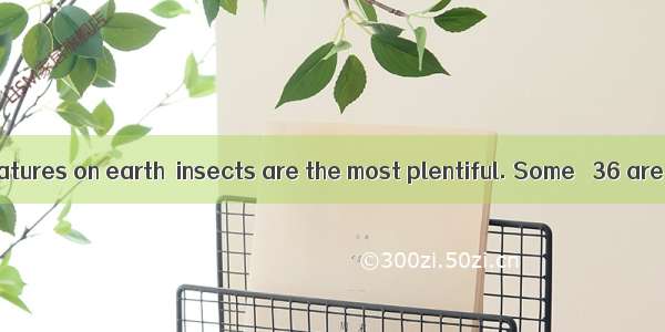 Of all living creatures on earth  insects are the most plentiful. Some　 36 are very useful
