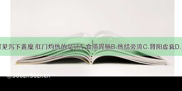 下列各项 可见泻下黄糜 肛门灼热的是()A.食滞胃肠B.热结旁流C.肾阳虚衰D.大肠湿热E.