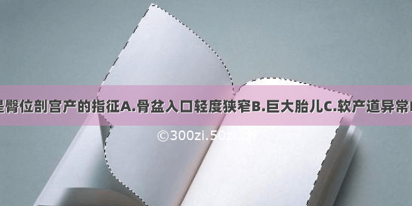 下列哪项不是臀位剖宫产的指征A.骨盆入口轻度狭窄B.巨大胎儿C.软产道异常D.高龄初产妇