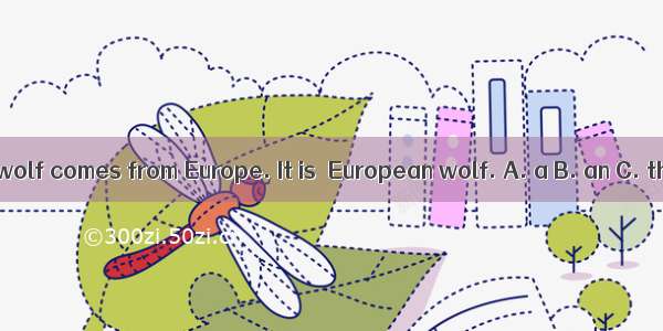 The wolf comes from Europe. It is  European wolf. A. a B. an C. the
