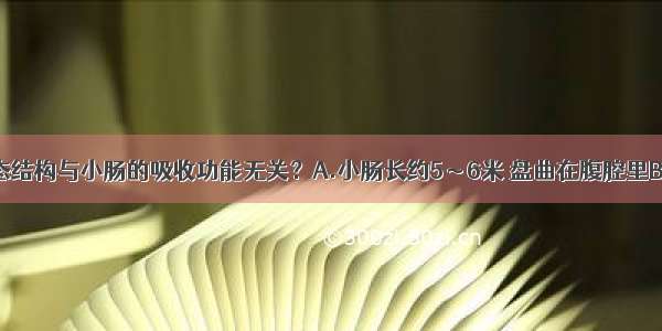 下列哪种形态结构与小肠的吸收功能无关？A.小肠长约5～6米 盘曲在腹腔里B.肠壁粘膜形