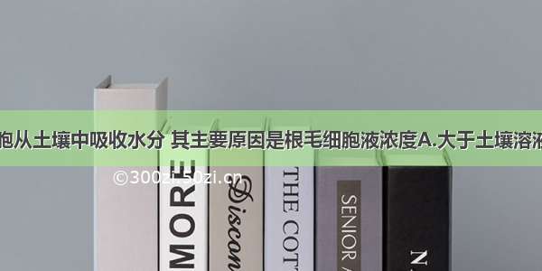 植物根毛细胞从土壤中吸收水分 其主要原因是根毛细胞液浓度A.大于土壤溶液浓度B.小于