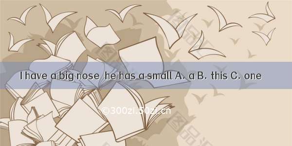 I have a big nose  he has a small A. a B. this C. one