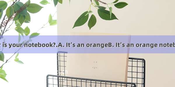 ---What color is your notebook?.A. It’s an orangeB. It’s an orange notebookC. It’s ora