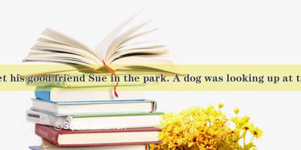 One day Jack met his good friend Sue in the park. A dog was looking up at the woman beside