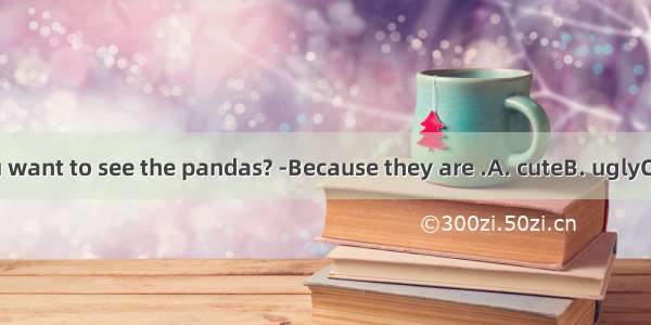 -Why do you want to see the pandas? -Because they are .A. cuteB. uglyC. thinD. dirty