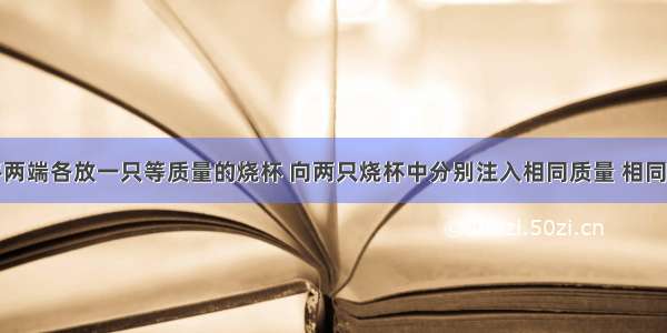 在托盘天平两端各放一只等质量的烧杯 向两只烧杯中分别注入相同质量 相同质量分数的