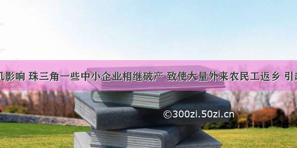 受金融危机影响 珠三角一些中小企业相继破产 致使大量外来农民工返乡 引起国家高度