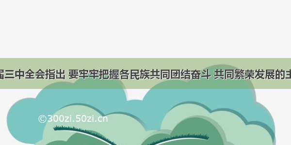 党的十七届三中全会指出 要牢牢把握各民族共同团结奋斗 共同繁荣发展的主题 保障少