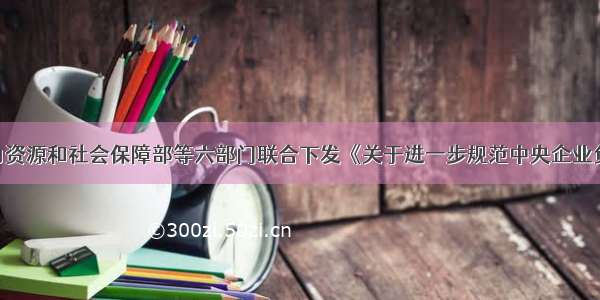 9月 人力资源和社会保障部等六部门联合下发《关于进一步规范中央企业负责人薪