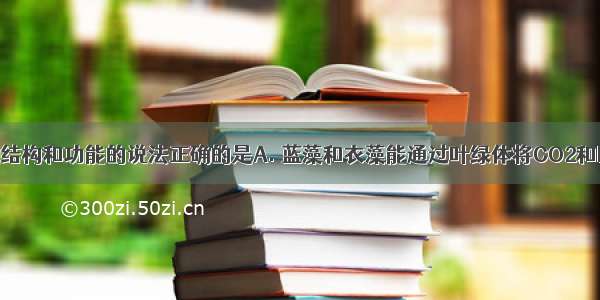 下列关于细胞结构和功能的说法正确的是A. 蓝藻和衣藻能通过叶绿体将CO2和H2O合成糖类