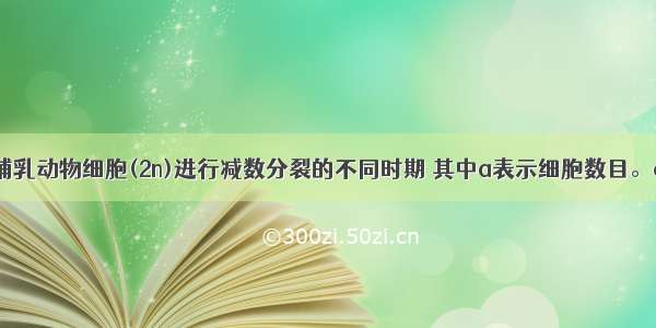 下图表示某哺乳动物细胞(2n)进行减数分裂的不同时期 其中a表示细胞数目。c所代表的结