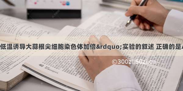 下列有关“低温诱导大蒜根尖细胞染色体加倍”实验的叙述 正确的是A. 可能出现三倍体