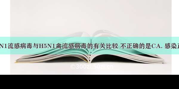 关于甲型H1N1流感病毒与H5N1禽流感病毒的有关比较 不正确的是CA. 感染正常人体后均