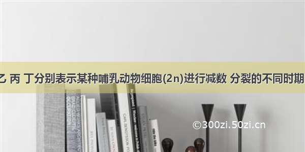 下图甲 乙 丙 丁分别表示某种哺乳动物细胞(2n)进行减数 分裂的不同时期 其中a表