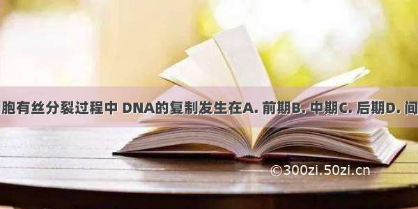 细胞有丝分裂过程中 DNA的复制发生在A. 前期B. 中期C. 后期D. 间期