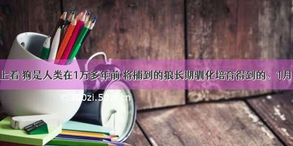 从起源上看 狗是人类在1万多年前 将捕到的狼长期驯化培育得到的。1月 瑞典进