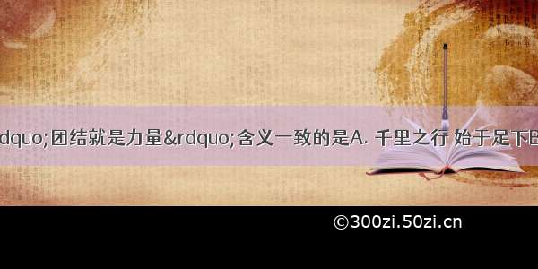 下列成语中与“团结就是力量”含义一致的是A. 千里之行 始于足下B. 兄弟同心 其利