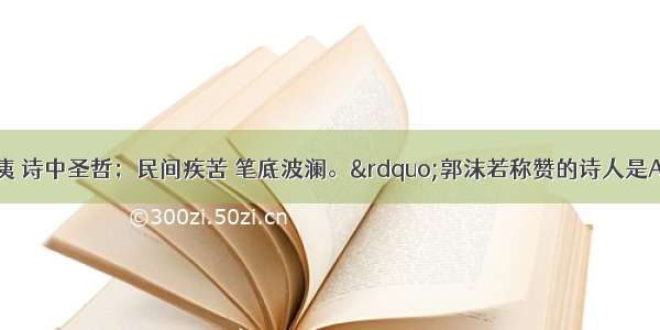 “世上创痍 诗中圣哲；民间疾苦 笔底波澜。”郭沫若称赞的诗人是A. 王维B. 李白C.