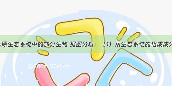 如图是某草原生态系统中的部分生物 据图分析：（1）从生态系统的组成成分来看 图中