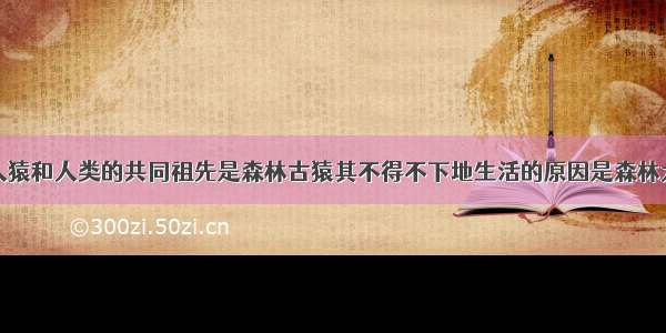 现代类人猿和人类的共同祖先是森林古猿其不得不下地生活的原因是森林大量消失．