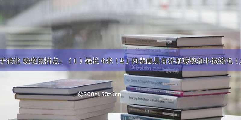 小肠适于消化 吸收的特点：（1）最长 6米（2）内表面具有环形皱襞和小肠绒毛（大大