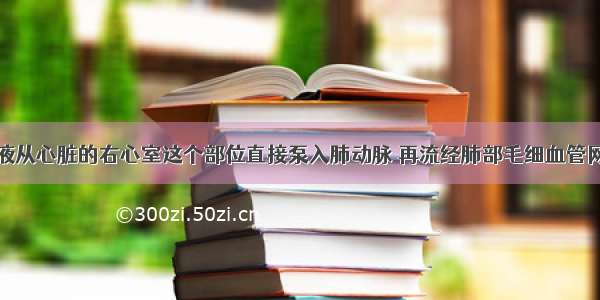 人体内 血液从心脏的右心室这个部位直接泵入肺动脉 再流经肺部毛细血管网 这时血液