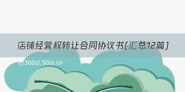 店铺经营权转让合同协议书(汇总12篇)