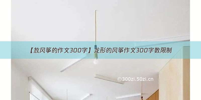 【放风筝的作文300字】龙形的风筝作文300字数限制