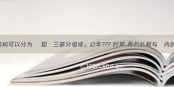 骨的基本结构可以分为 　和　三部分组成。幼年??? 时期 骨的长粗与　内的　有关;长