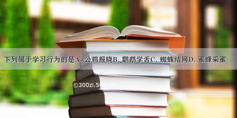 下列属于学习行为的是A. 公鸡报晓B. 鹦鹉学舌C. 蜘蛛结网D. 蜜蜂采蜜