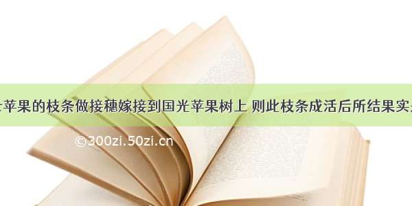 若把红富士苹果的枝条做接穗嫁接到国光苹果树上 则此枝条成活后所结果实是AA. 红富