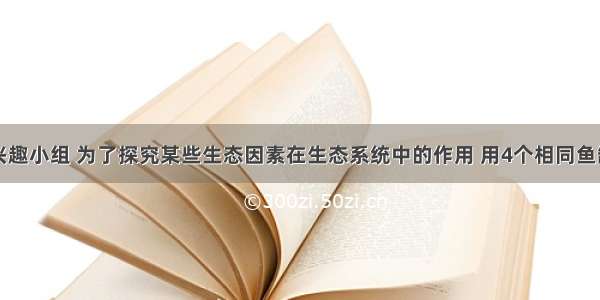 某校生物兴趣小组 为了探究某些生态因素在生态系统中的作用 用4个相同鱼缸设计了如