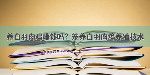 养白羽肉鸡赚钱吗？笼养白羽肉鸡养殖技术