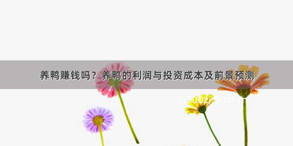 养鸭赚钱吗？养鸭的利润与投资成本及前景预测