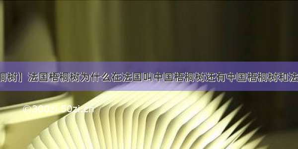 【法国梧桐树】法国梧桐树为什么在法国叫中国梧桐树还有中国梧桐树和法国梧桐树...