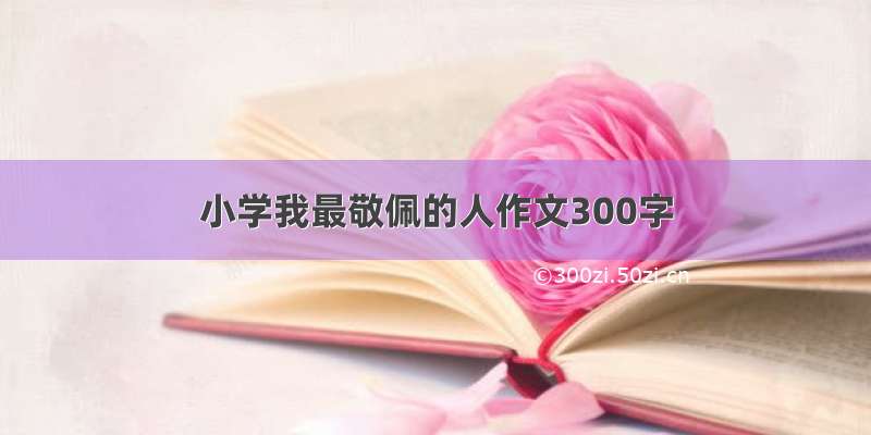 小学我最敬佩的人作文300字