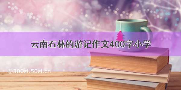 云南石林的游记作文400字小学