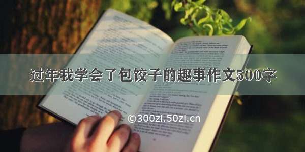 过年我学会了包饺子的趣事作文500字