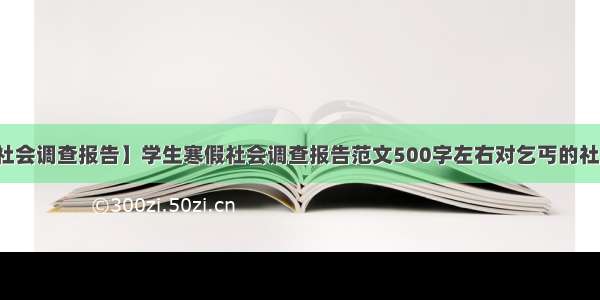 【寒假社会调查报告】学生寒假社会调查报告范文500字左右对乞丐的社会调查...