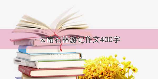 云南石林游记作文400字