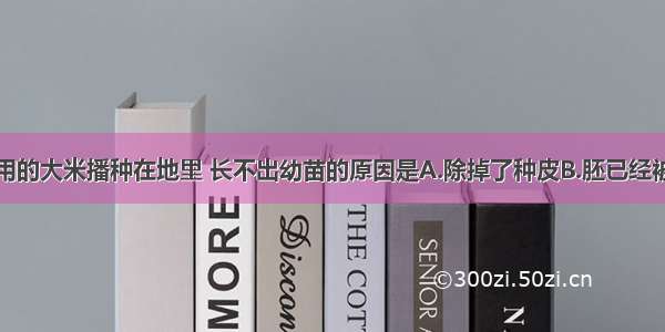 单选题将食用的大米播种在地里 长不出幼苗的原因是A.除掉了种皮B.胚已经被破坏C.胚乳