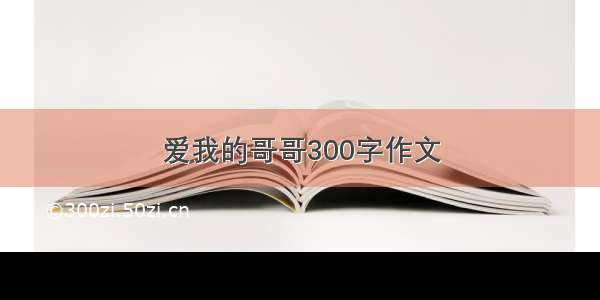 爱我的哥哥300字作文