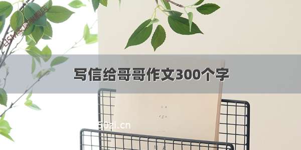 写信给哥哥作文300个字