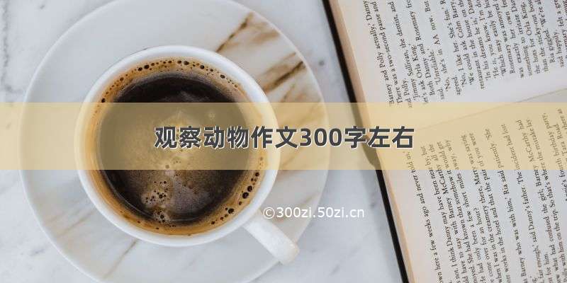 观察动物作文300字左右